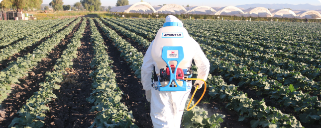 Agrónomo aplicando tratamiento fitosanitario en un invernadero de tomates.